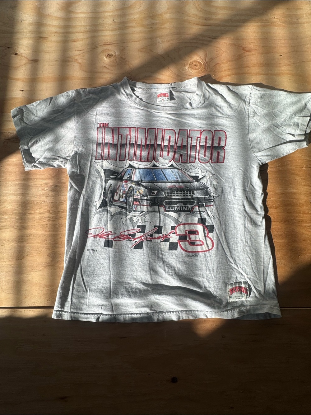 VTG Dale THE INTIMIDATOR Tee